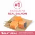 Purina ONE® +Plus SmartBlend Adult Dog Dry Food - Salmon, No Artificial Preservatives, With Vitamins image thumbnail 4