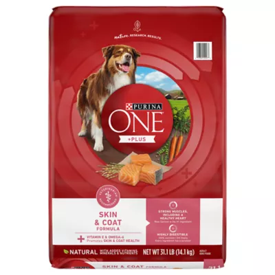 Product Purina ONE® +Plus SmartBlend Adult Dog Dry Food - Salmon, No Artificial Preservatives, With Vitamins