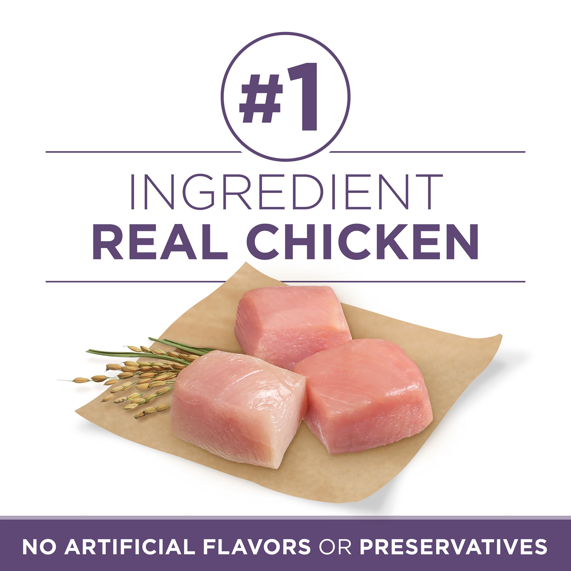 purina one smartblend senior