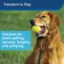 PetSafe® Gentle Leader - Works Great for Leash & Harness Training - Dog Harness -  Black image thumbnail 2