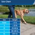 PetSafe® Gentle Leader - Works Great for Leash & Harness Training - Dog Harness -  Black image thumbnail 5
