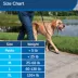 PetSafe® Gentle Leader - Works Great for Leash & Harness Training - Dog Harness -  Black image thumbnail 5