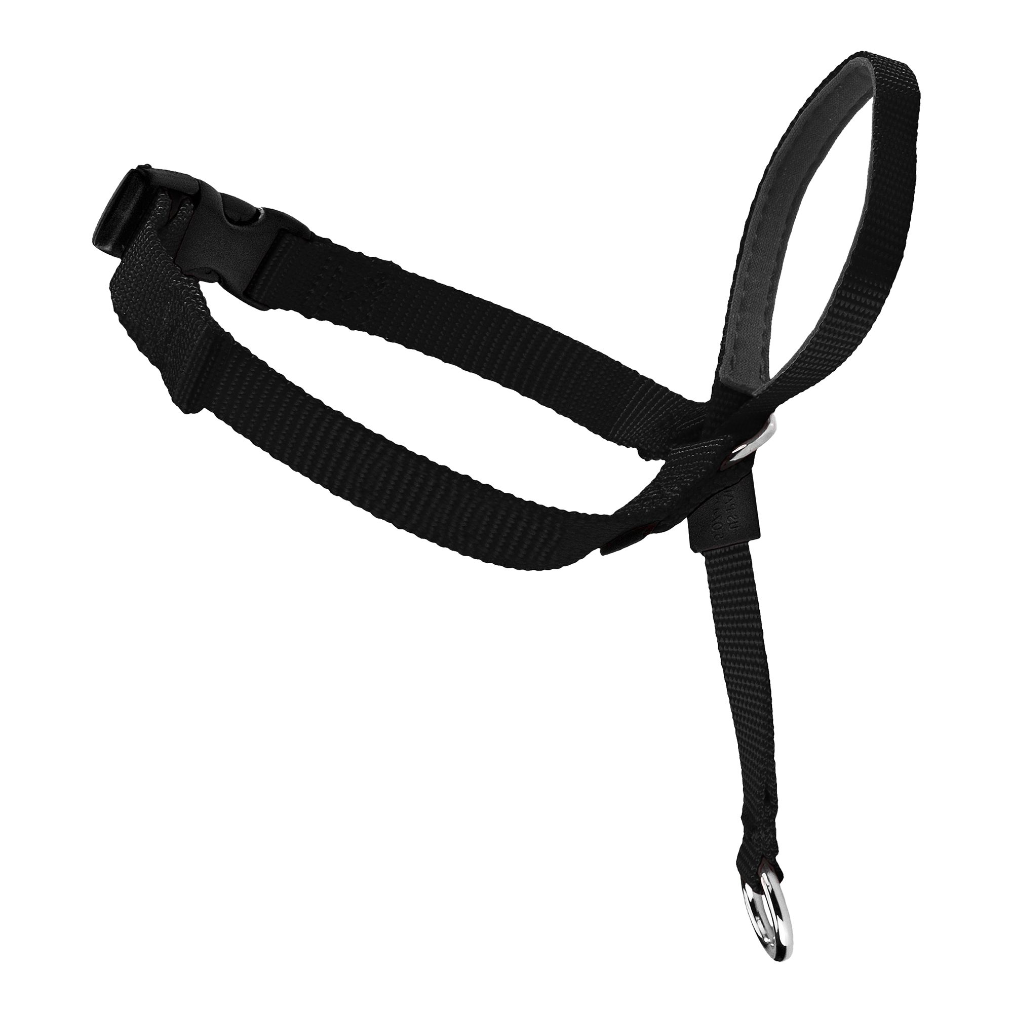 Gentle leader front harness hotsell