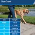 PetSafe® Gentle Leader - Works Great for Leash & Harness Training - Dog Harness -  Black image thumbnail 5