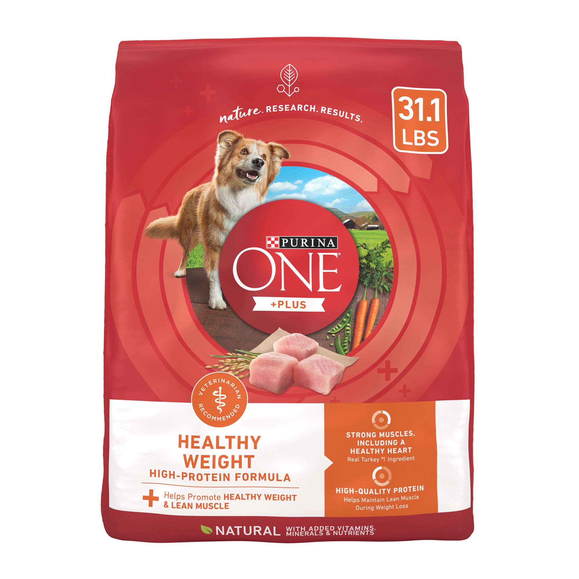 Purina ONE Plus Adult Dog Dry Food Turkey High Protein