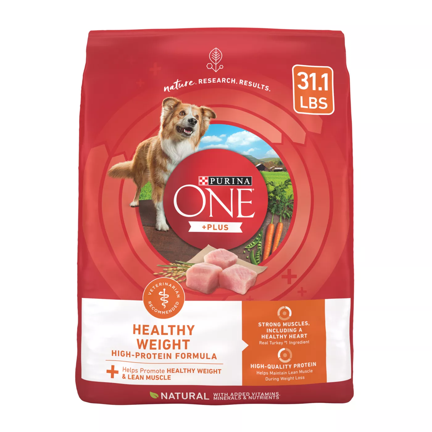 Purina ONE Plus Adult Dog Dry Food Turkey High Protein Natural