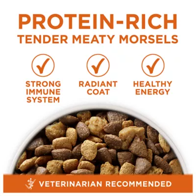 Petsmart purina one dog food best sale