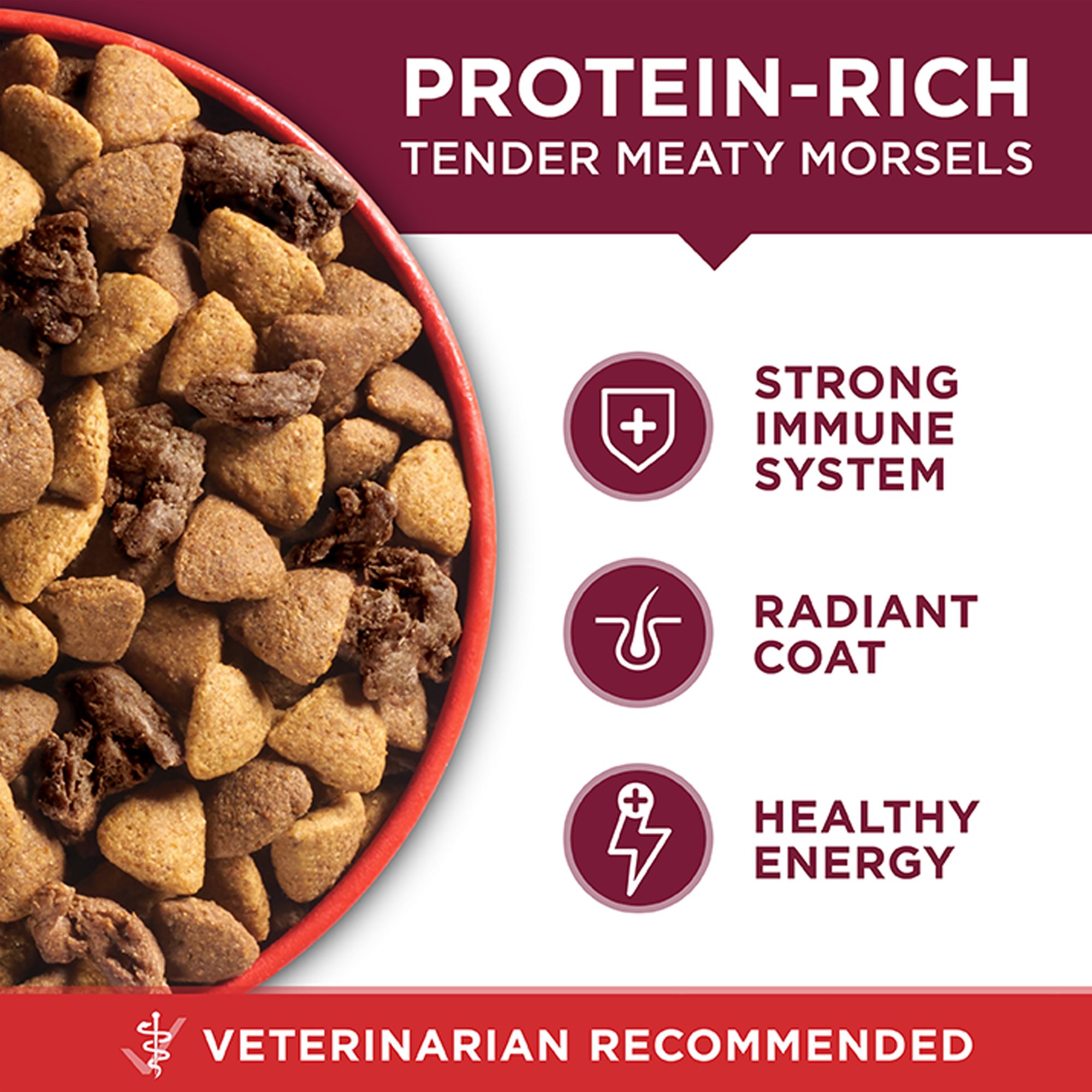 purina one beef and rice reviews