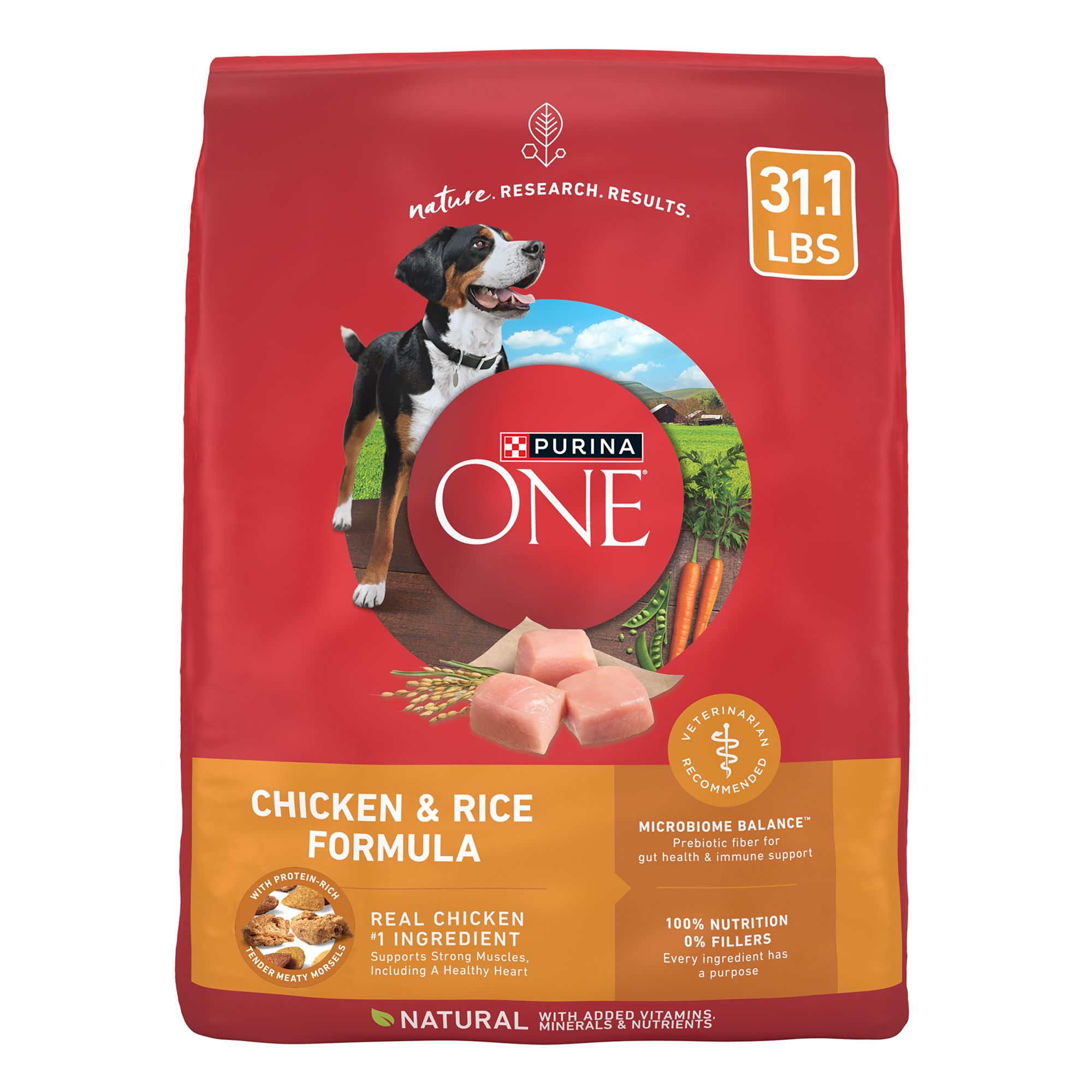 Purina ONE SmartBlend Adult Dog Food 