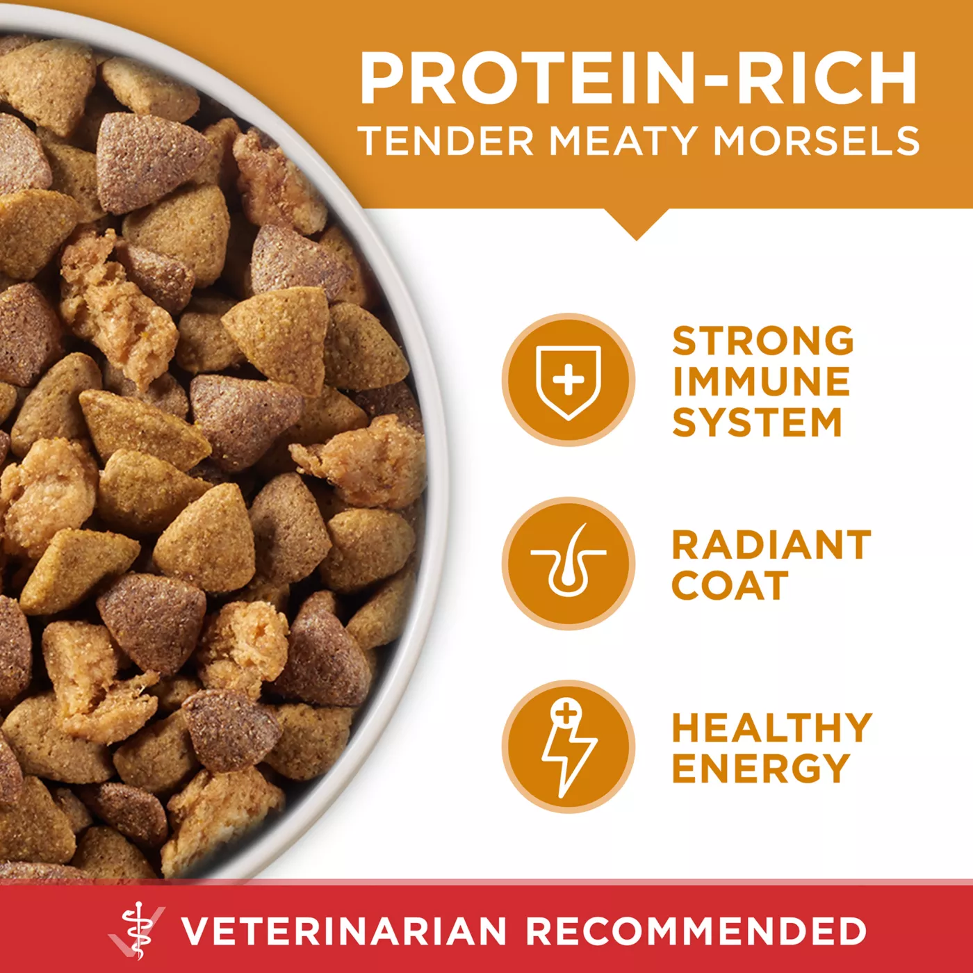 Purina ONE SmartBlend Everyday Nutrition Adult Dog Dry Food Chicken High Protein