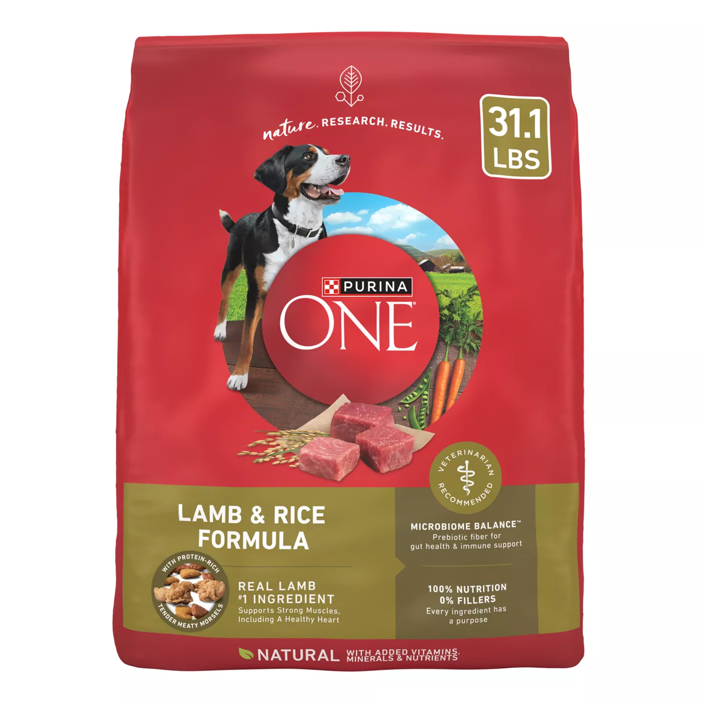 Purina ONE SmartBlend Everyday Nutrition Adult Dog Dry Food Lamb High Protein