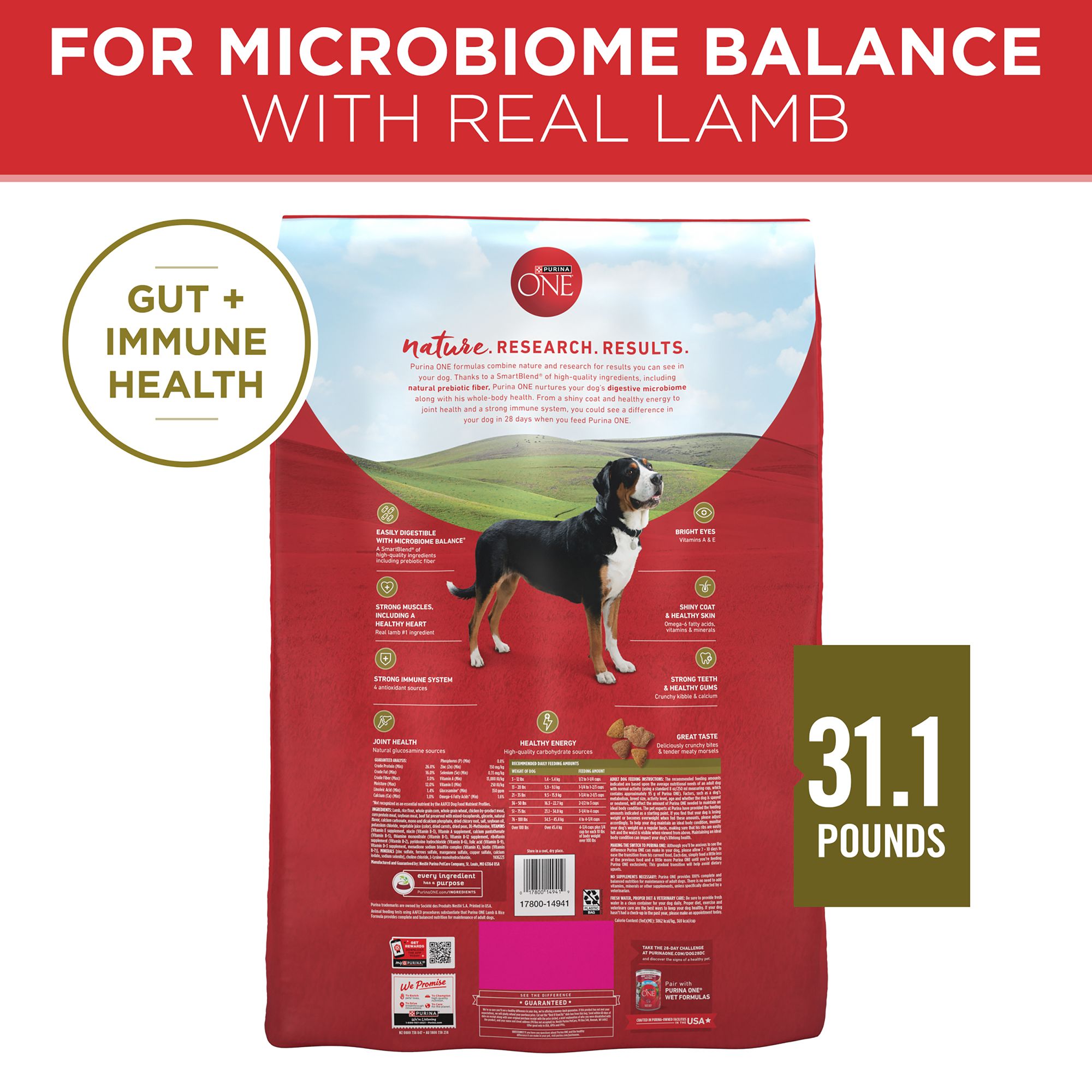 purina one large breed puppy petsmart