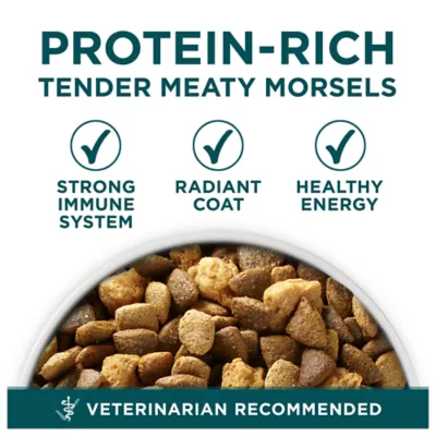 Product Purina ONE® +Plus Large Breed Puppy Dog Dry Food - Chicken, High-Protein, Antioxidants