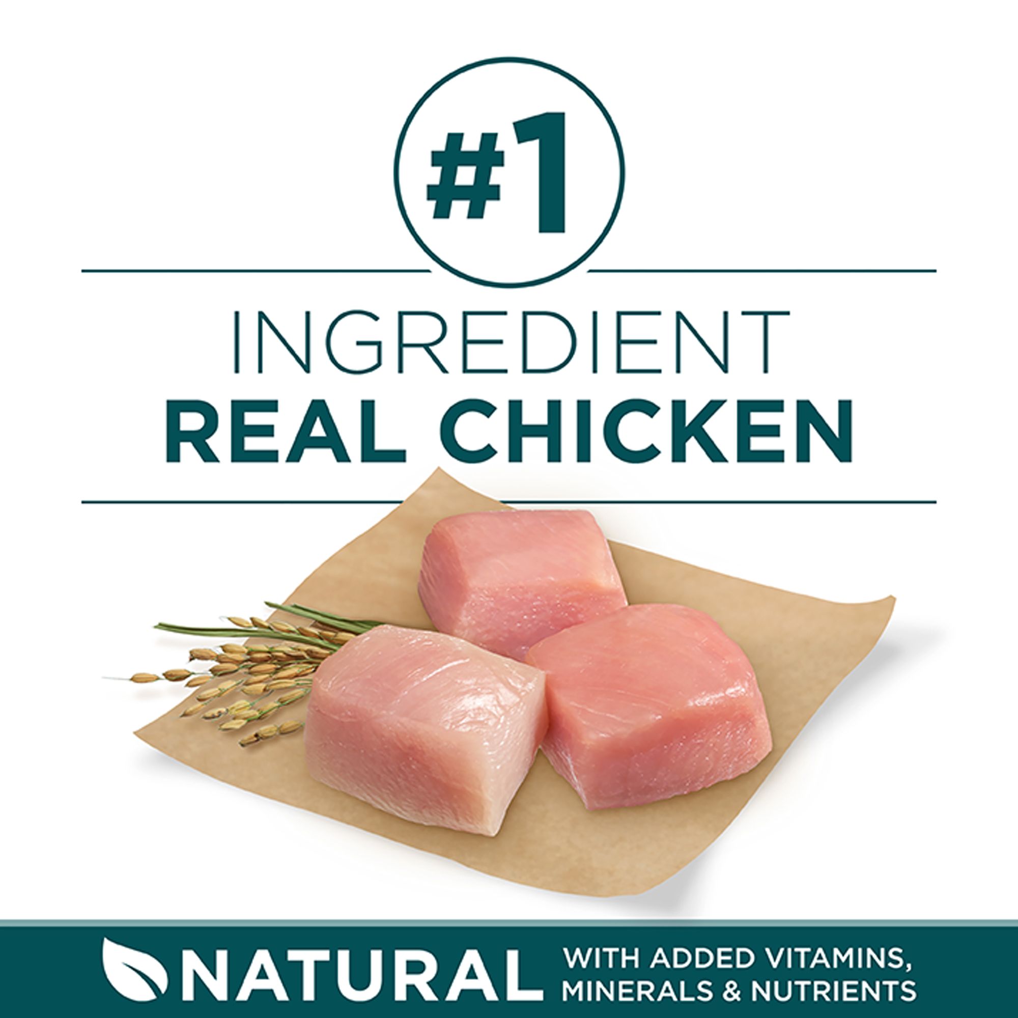 petsmart purina one large breed puppy