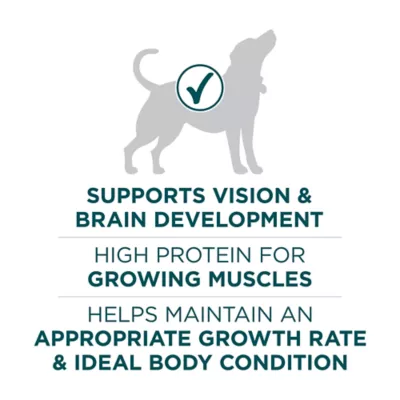 Product Purina ONE® +Plus Large Breed Puppy Dog Dry Food - Chicken, High-Protein, Antioxidants