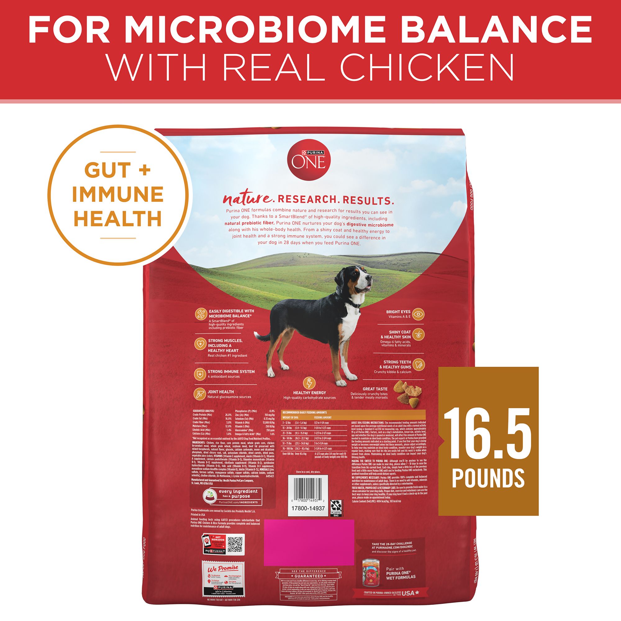 Purina® ONE® Adult Dog Dry Food - Chicken & Rice, High-Protein