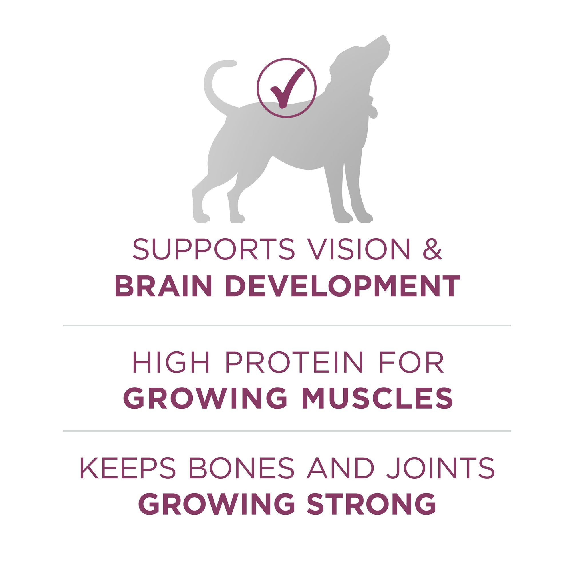 petsmart purina one large breed puppy