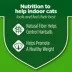 Purina® Cat Chow® Indoor Adult Cat Dry Food - Chicken, Natural, Real Meat image thumbnail 5