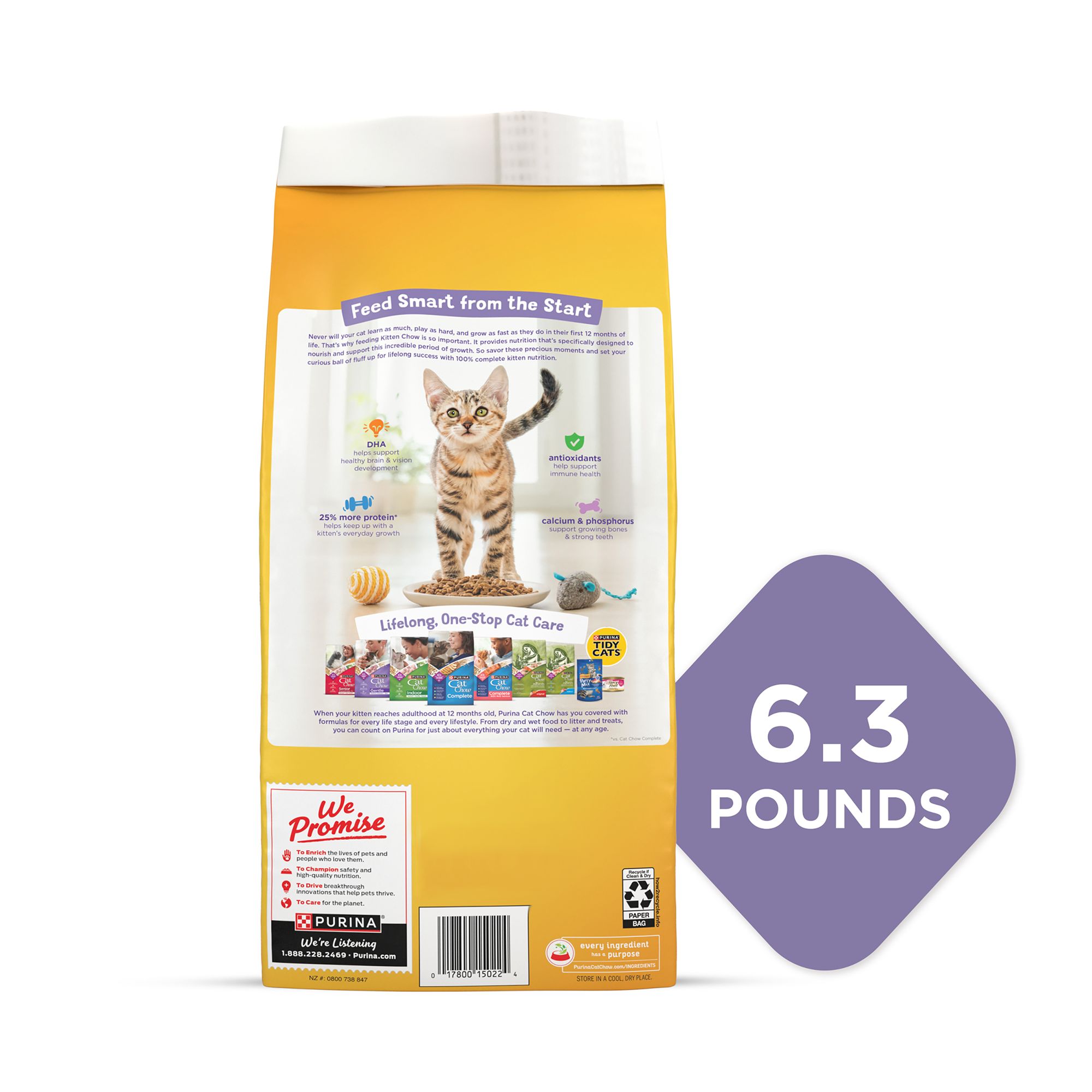 purina kitten chow nurture dry cat food