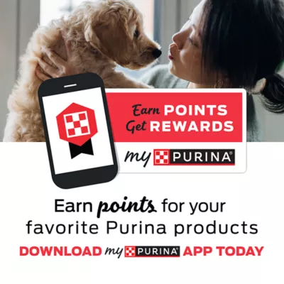 My purina cat perks hotsell