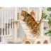 Armarkat 74-in Faux Fur Two Condo & Running Ramps Real Wood Cat Tree, Beige image thumbnail 7