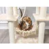 Armarkat 72-in Faux Fur Basket, Real Wood Condo & Cat Tree, Beige image thumbnail 6