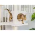 Armarkat 73-in Classic Faux Fleece Real Wood Cat Tree, Ivory image thumbnail 6