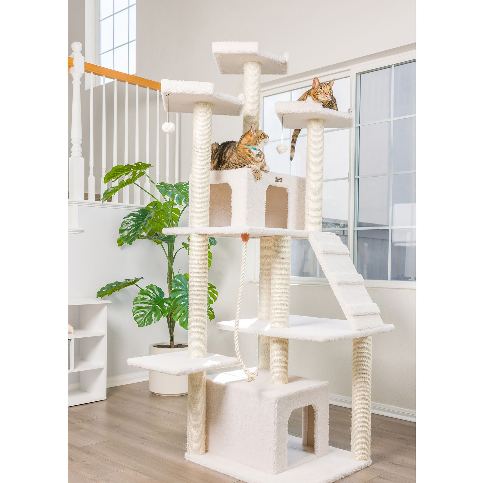 Armarkat 82 In Large Cat Tree Condo Ivory Cat Furniture Towers Petsmart