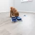 TRIXIE Poker Box Dog Toy image thumbnail 2