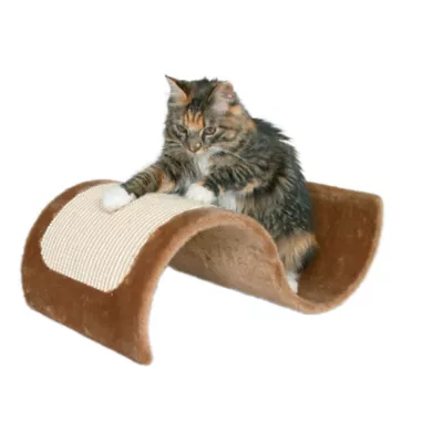 Petsmart cat scratch post best sale