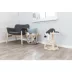  TRIXIE Vitoria Kitten Scratcher image thumbnail 3