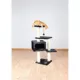 Product  TRIXIE 42-in Palamos Cat Tree