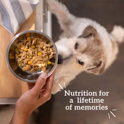 Bil-Jac® Hearty Stew Adult Wet Dog Food - Beef & Barley, 3.5 oz - Image 5