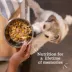 Bil-Jac® Hearty Stew Adult Wet Dog Food - Beef & Barley, 3.5 oz image thumbnail 5