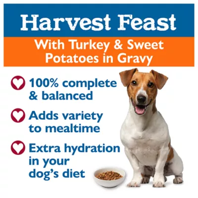 Product Bil-Jac® Harvest Feast Adult Wet Dog Food - Turkey & Sweet Potatoes in Gravy, 3.5 oz