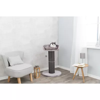Product TRIXIE Pepino Cat Post