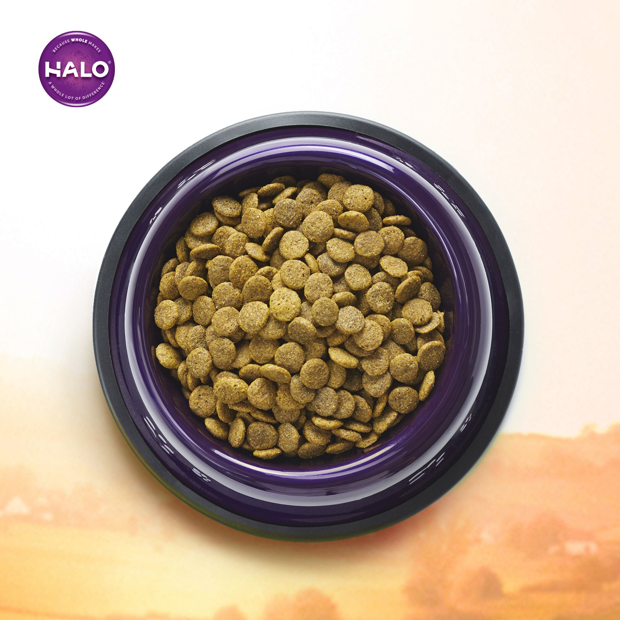 Halo vegan dog food hot sale petsmart