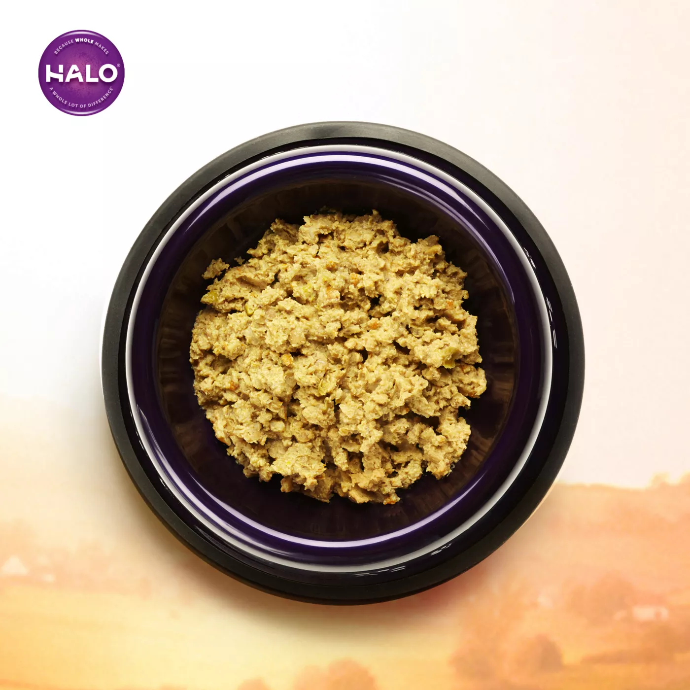 Halo adult holistic garden of vegan dry dog food best sale