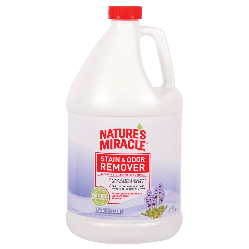 Nature's 2025 miracle lavender