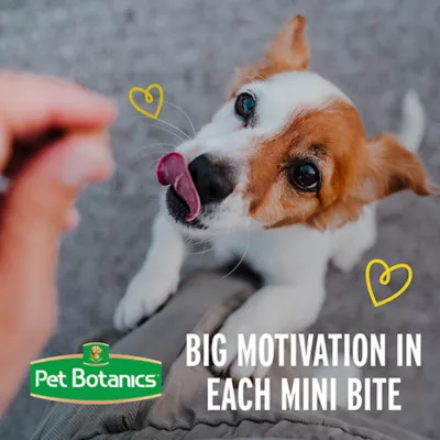 Product Pet Botanics Mini Training Rewards Dog Treats