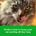 Greenies™ Feline Greenies SmartBites Skin & Fur Health Adult Cat Treats - Salmon image thumbnail 3