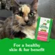 Product Greenies™ Feline Greenies SmartBites Skin & Fur Health Adult Cat Treats - Salmon