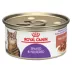 Royal Canin® Feline Health Nutrition Spayed & Neutered Adult Cat Wet Food - Slices in Gravy, 3 Oz image thumbnail 1
