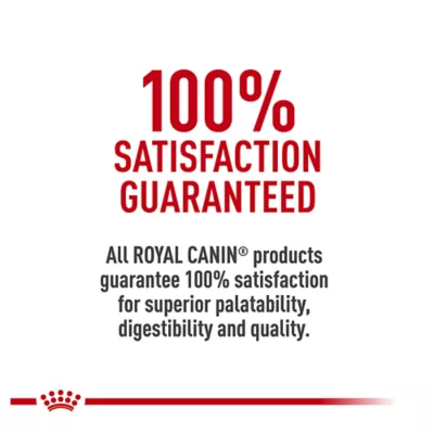 Product Royal Canin® Feline Health Nutrition Spayed & Neutered Adult Cat Slices in Gravy Food  3 oz can