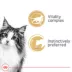 Royal Canin® Feline Health Nutrition Instinctive Adult 7+ Wet Cat Food - Slices in Gravy, 3 Oz image thumbnail 2