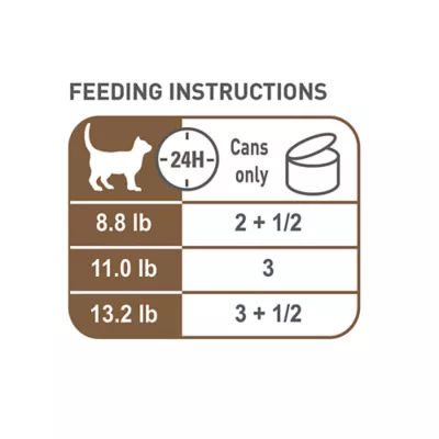 Product Royal Canin® Feline Health Nutrition Aging 12+ Thin Slices in Gravy Wet Cat Food  3 oz can