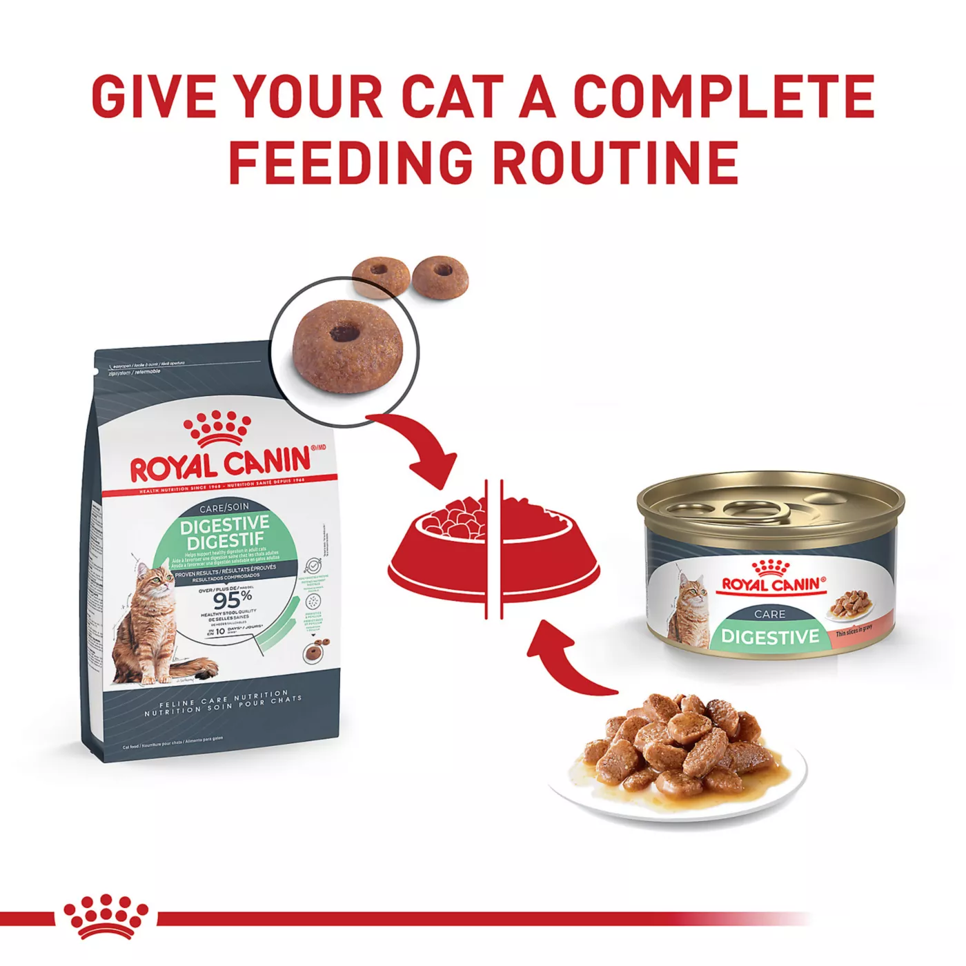 Royal Canin Feline Care Nutrition Digestive Care Adult Cat Slices in Gravy Wet Food 3 oz can