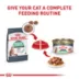 Royal Canin® Feline Care Nutrition Digestive Care Adult Cat Wet Food - Thin Slices in Gravy, 3 Oz image thumbnail 6