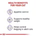 Royal Canin Feline Adult Dry Cat Food Care Nutrition, Appetite Control Care image thumbnail 3