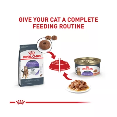 Product Royal Canin Feline Care Nutrition Apetite Control Adult Cat Dry Food